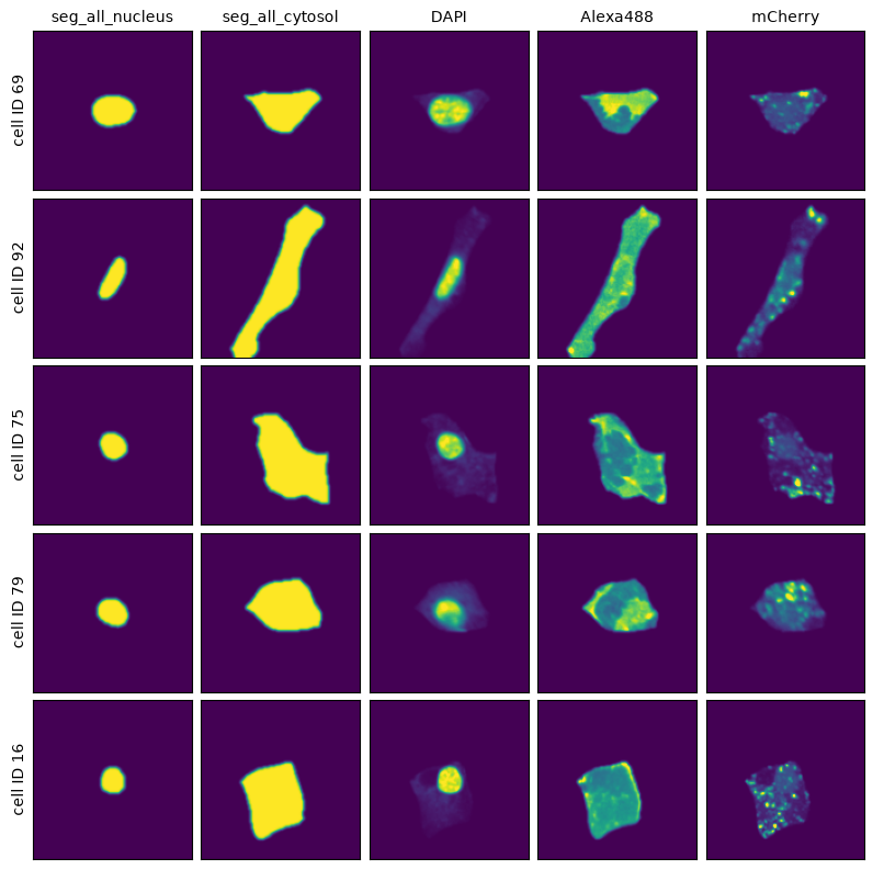 _images/92a3f863af9ee4c3338420d67b947791142b91f4d800c9ba4312e6efc05caa75.png