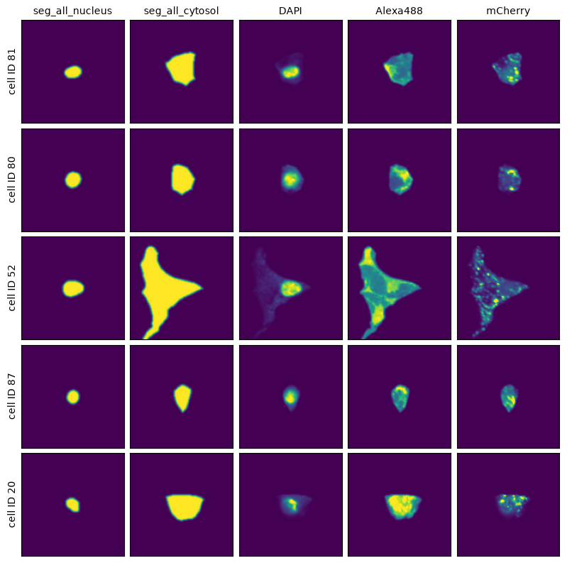 _images/9ead4f1846471a7aa2a00e78485dcc40ea4372526eb1f8fc443ebb8dbe709c1d.png