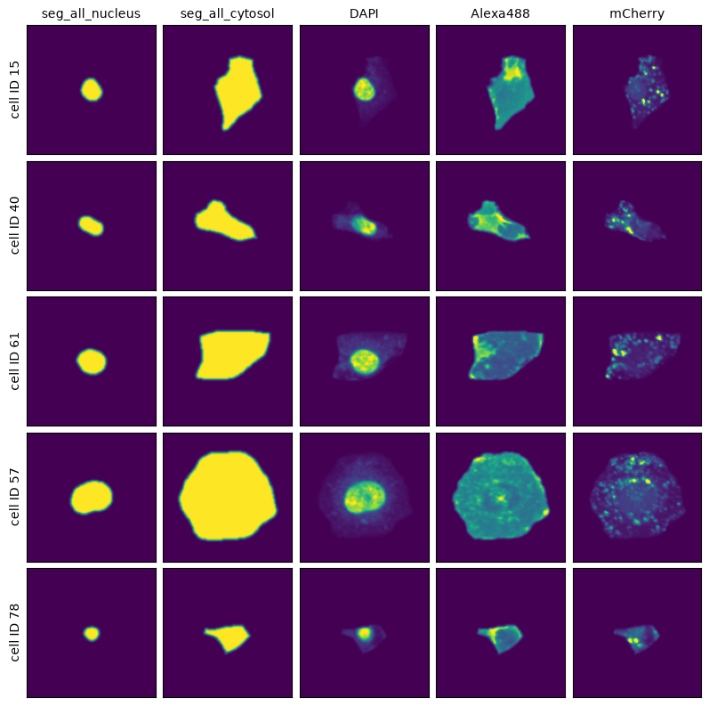 _images/a25eb14539bc2923b332ac38a2c4ca36720e876ce90093a448399018e53def66.png